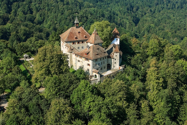 Dalla città attraverso la foresta fino a Kyburg