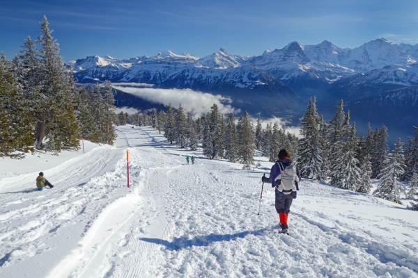 Schneeschuhtour am Niederhorn