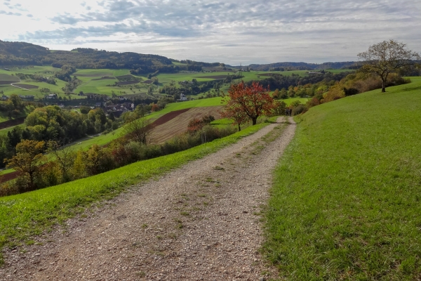 Dans le parc naturel du Jura argovien