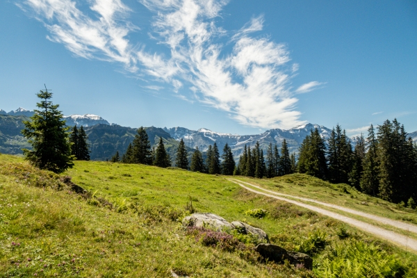 Das wundersame Mülibachtal GL