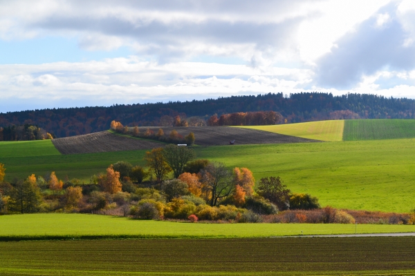 Von Gimel ins Weinbaugebiet La Côte