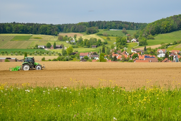 Spargeln und Reben im Zürcher Weinland