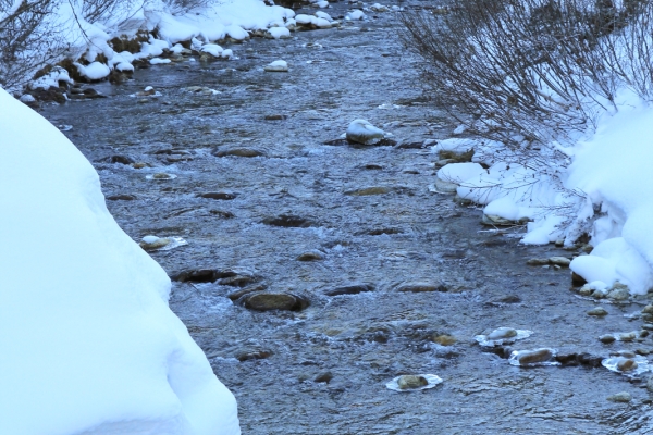 Schneeschuhtour entlang der Göschenerreuss