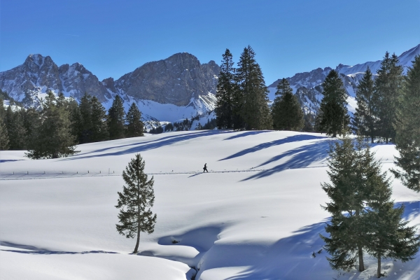 Par les marais de l’Entlebuch