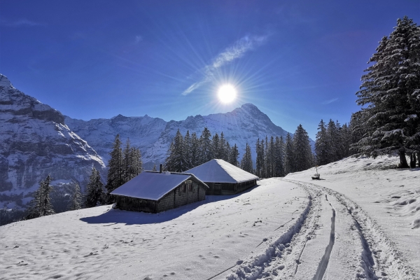 Am Sonnenhang von Grindelwald