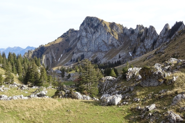 Vers les majestueux Rochers de Naye 