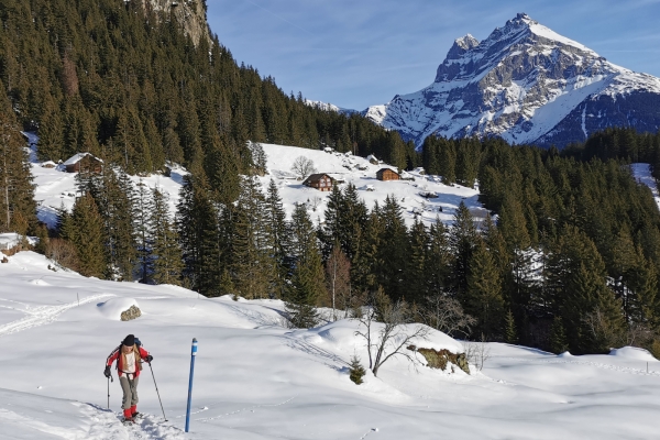 Schneeschuhtour hoch über dem Urner Reusstal