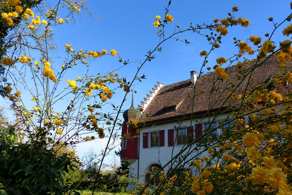 Du paradis au Weinland