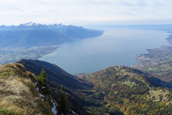 Vers les majestueux Rochers de Naye 