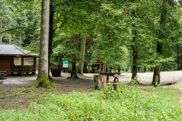 Dans la forêt de Grauholz, près de Berne