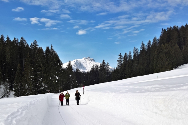 De Klosters à l’Alp Garfiun