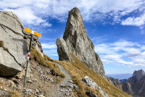 Hoch über dem Seealpsee auf den Säntis