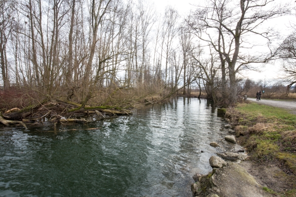 Winterlicher Gang dem Greifensee entlang