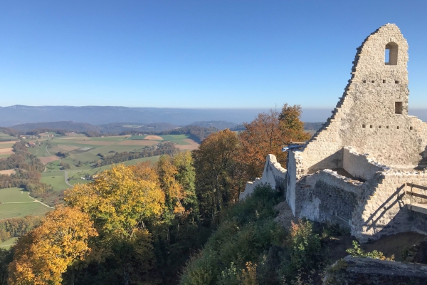 Doux paysage vallonné de la campagne bâloise