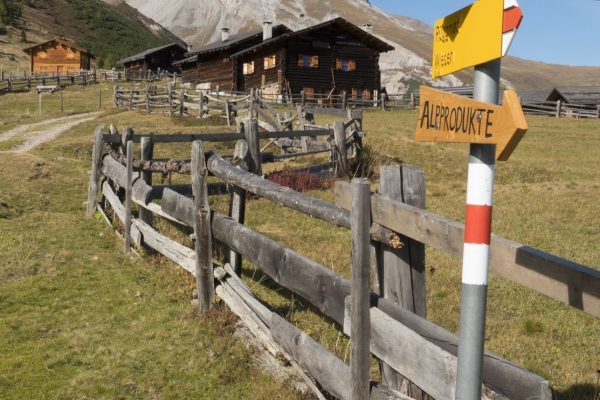 Vues grandioses à l’alpe Wiesner