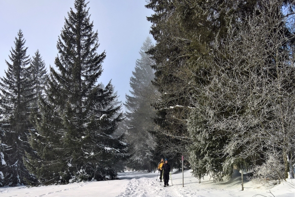 Mit Schneeschuhen über den Mont-Soleil