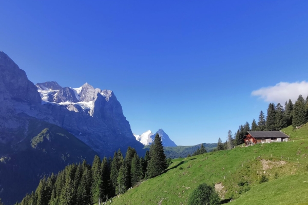 Promenade à l’Alp Grindel