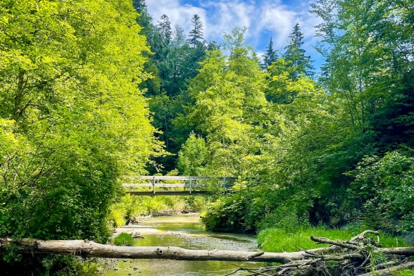 Familienwanderung durch die lauschige Wissbachschlucht