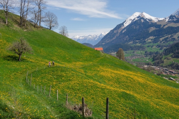 Cultura della costruzione autoctona nel Basso Simmental