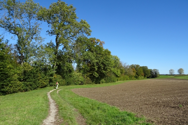 Paisibles paysages du Mittelland