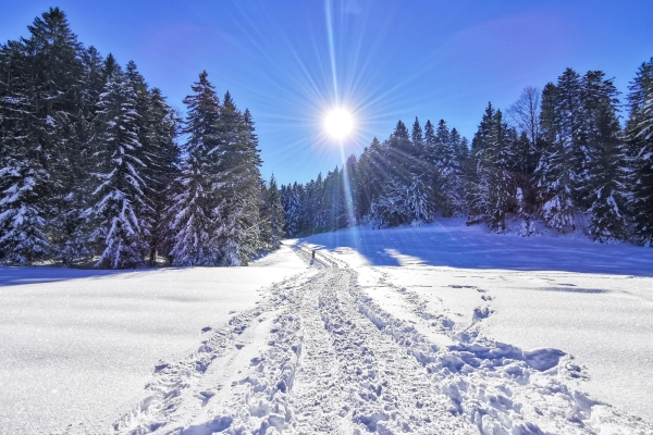 Fermé: Circuit en raquettes dans le Toggenburg