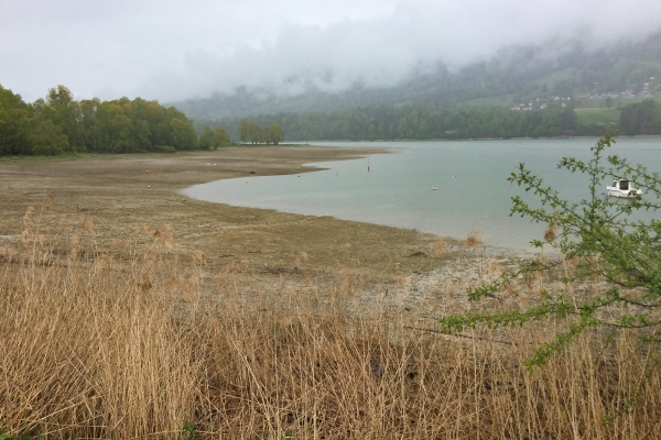 Sur la rive du lac de la Gruyère