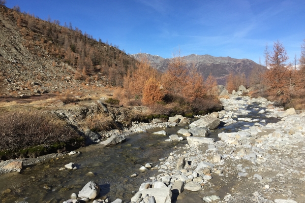 Dem Wasser entlang in Grächen