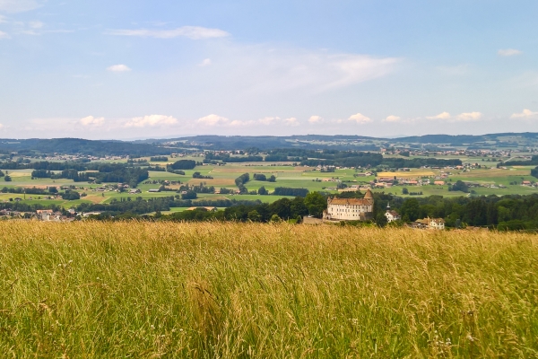 Freiburger und Waadtländer Voralpenland