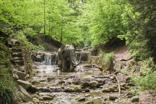 Der Elefant im Tobel