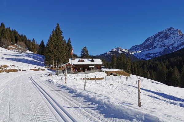 Soleil d’hiver dans le Chablais