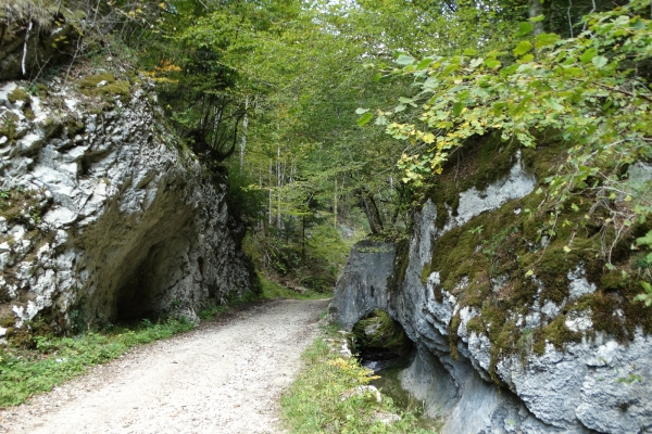 Balade au sommet à Delémont