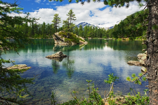 Un paradis floral tout près de la frontière