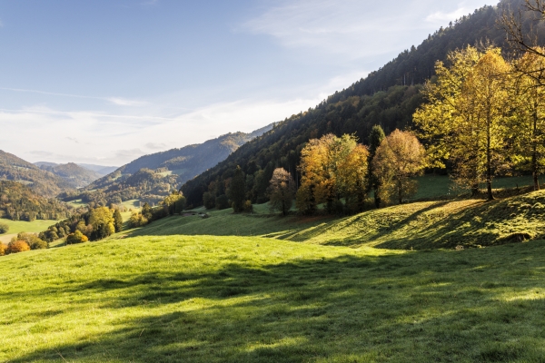 Impressionen in den Freibergen