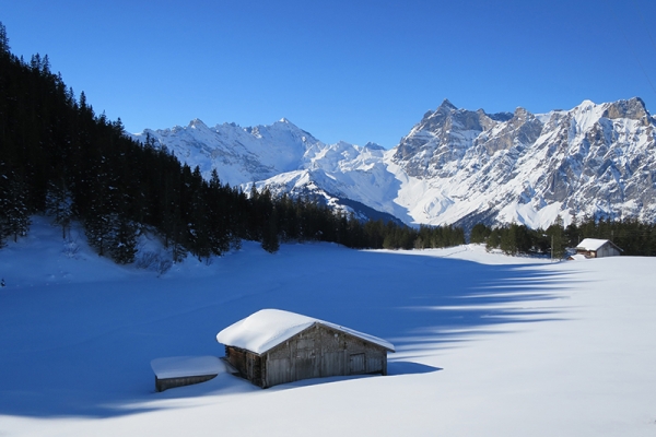 Sous le soleil d'hiver