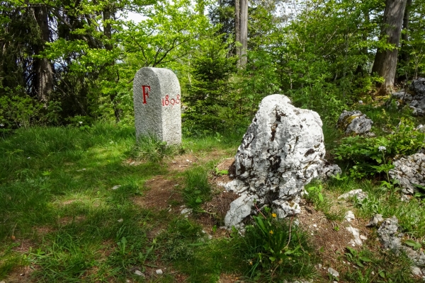 La Route de l’Absinthe dans le val de Travers