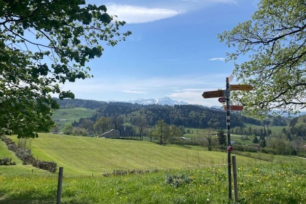 Randonnée ludique à Saint-Gall