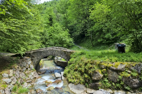 Aussichtsreiche Frühlingstour über dem Walensee