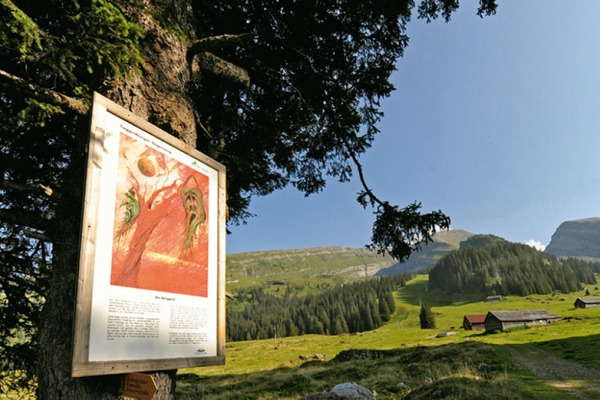 Der Toggenburger Sagenweg