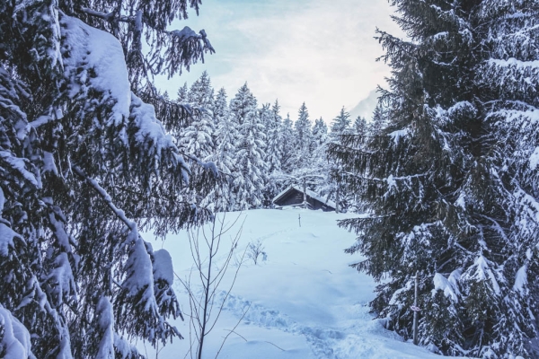 Un conte d’hiver dans les Préalpes fribourgeoises