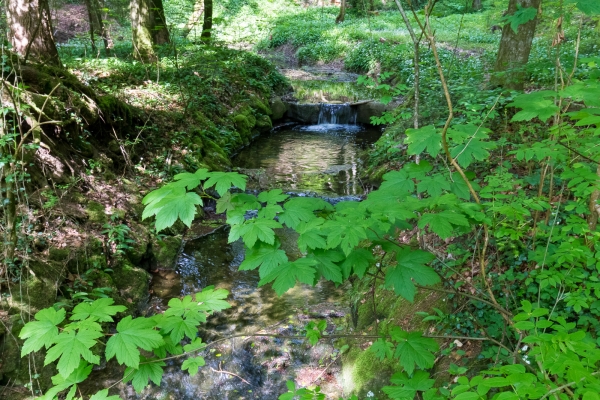 Blueschtwandern vom Thurtal an den Bodensee