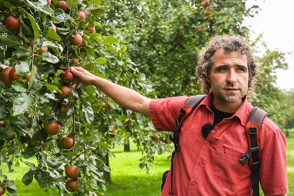 Le Mausacker à Steinebrunn (TG)