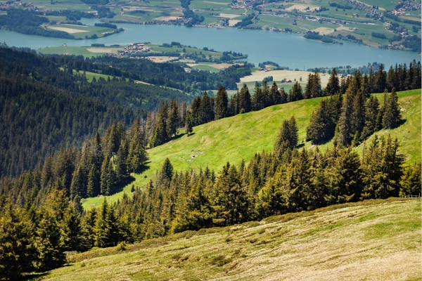 In typischer Greyerzer Landschaft