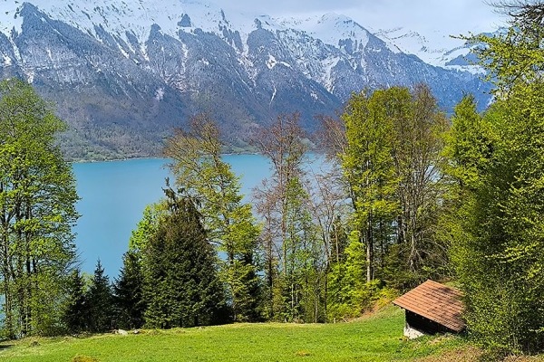 Sur les hauteurs du lac de Brienz (BE)