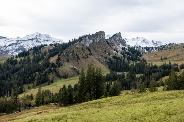 Sites marécageux au col du Glaubenbielen