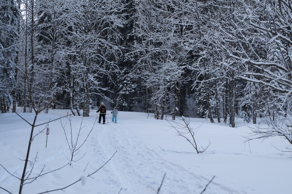 Au pied des Dents Vertes