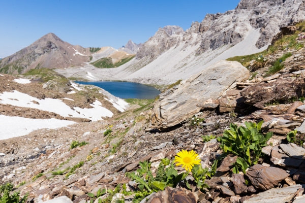 Wilde Wasser am Piz Ela