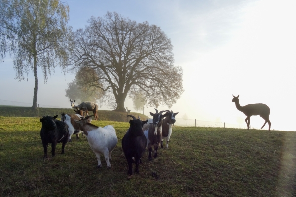 Grenzwandern in Schaffhausen