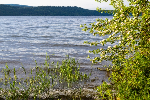 Sur les rives du lac de Joux