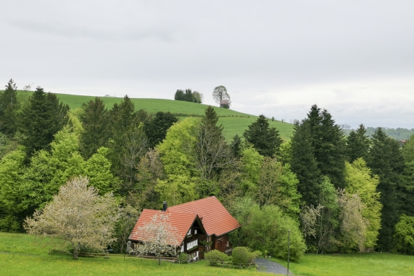 Trainingstour im Appenzeller Vorland