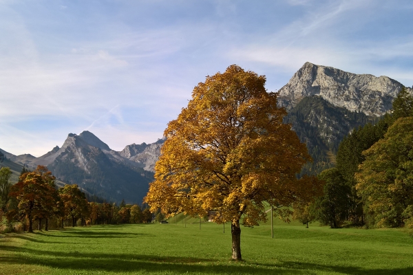 Auf dem Talweg von der Grimmialp nach Oey